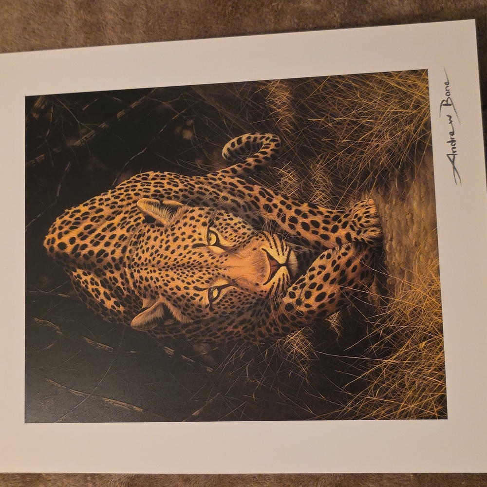 💥FALL SALE💥 LEOPORD Art Print by ARTIST: ANDREW BONE *AFRICAN MYSTIQUE*